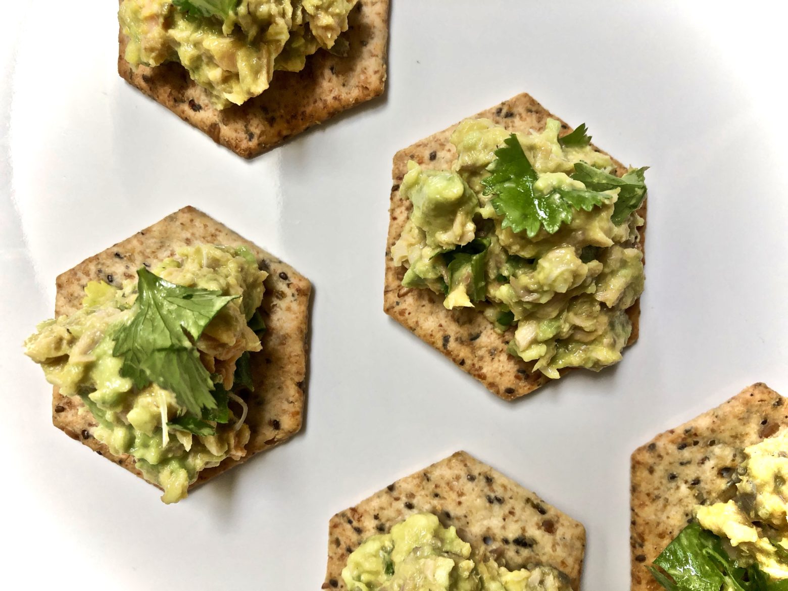 Simple Salmon Avocado Dip Gluten Free & Gut Health Nutritionist