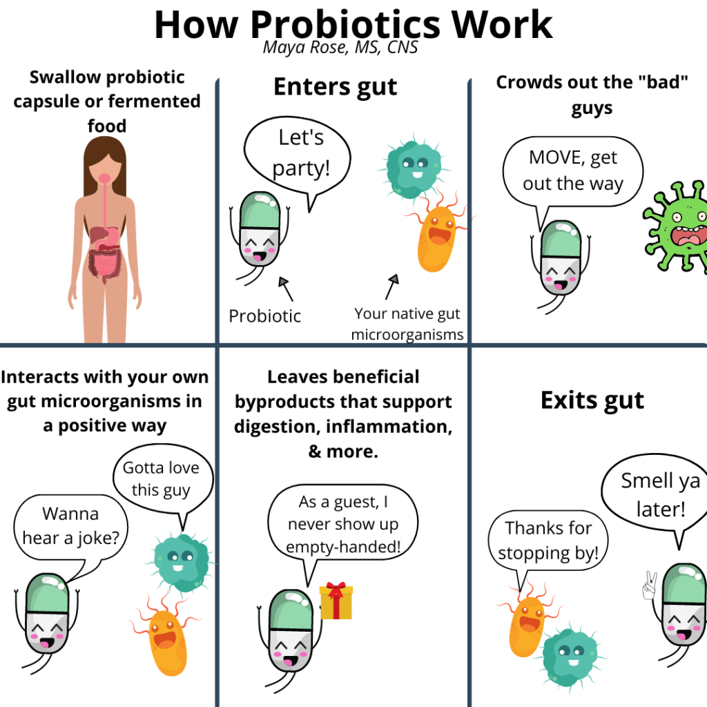 How Do Freeze Dried Probiotics Work at Manuel Whitt blog