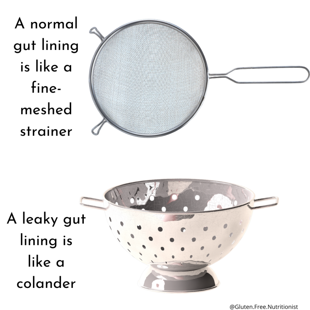 Leaky gut lining and normal gut lining analogy