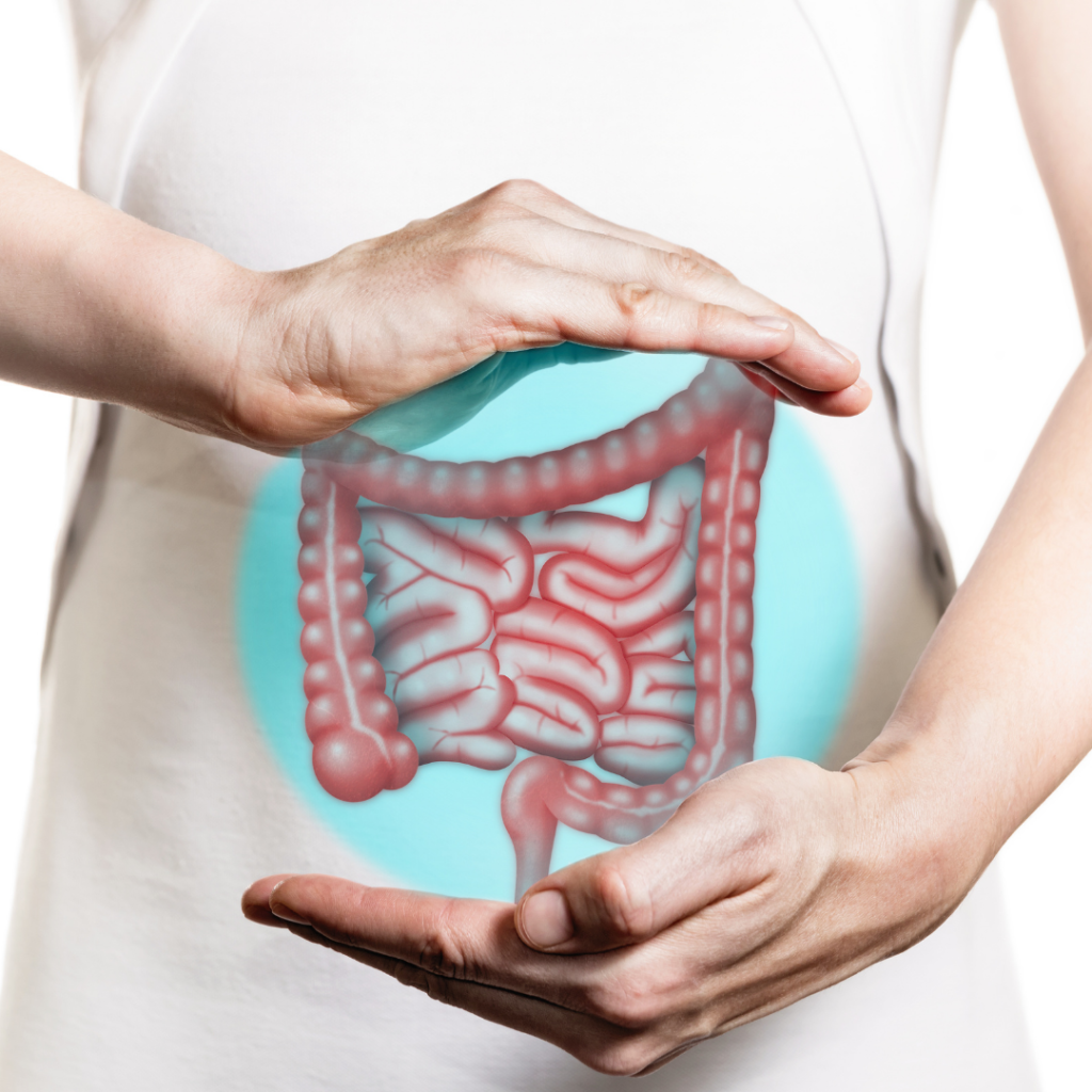 Gut and digestive system image